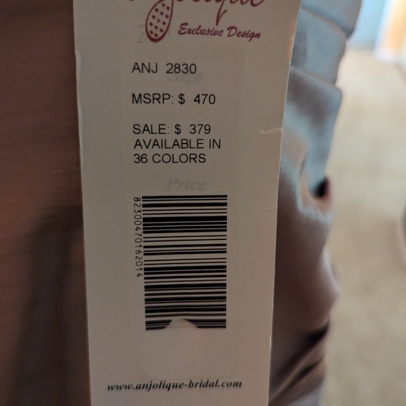 Mother of the bride gown private collection Angelique NEVER WORN - Picture 3 of 6